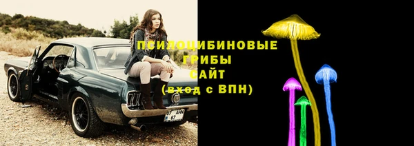 стаф Ленинск