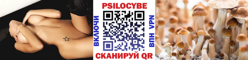 Галлюциногенные грибы Psilocybine cubensis  Купить  Верещагино 
